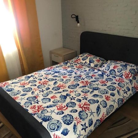 克卢日-纳波卡Apartament Dorobanti公寓 外观 照片