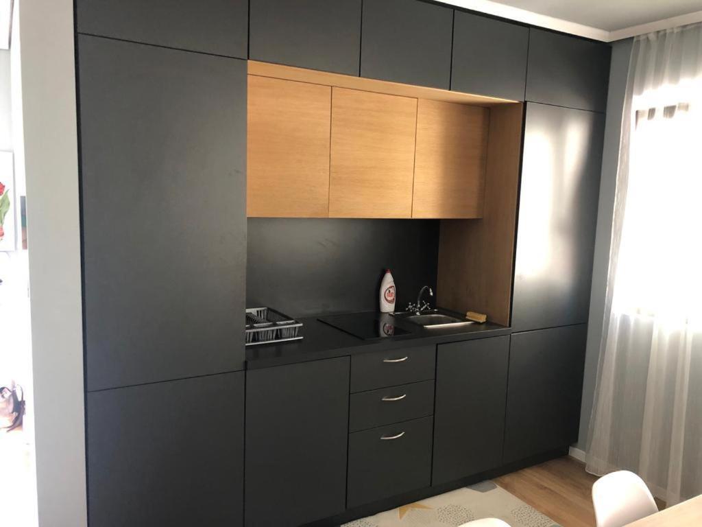 克卢日-纳波卡Apartament Dorobanti公寓 外观 照片