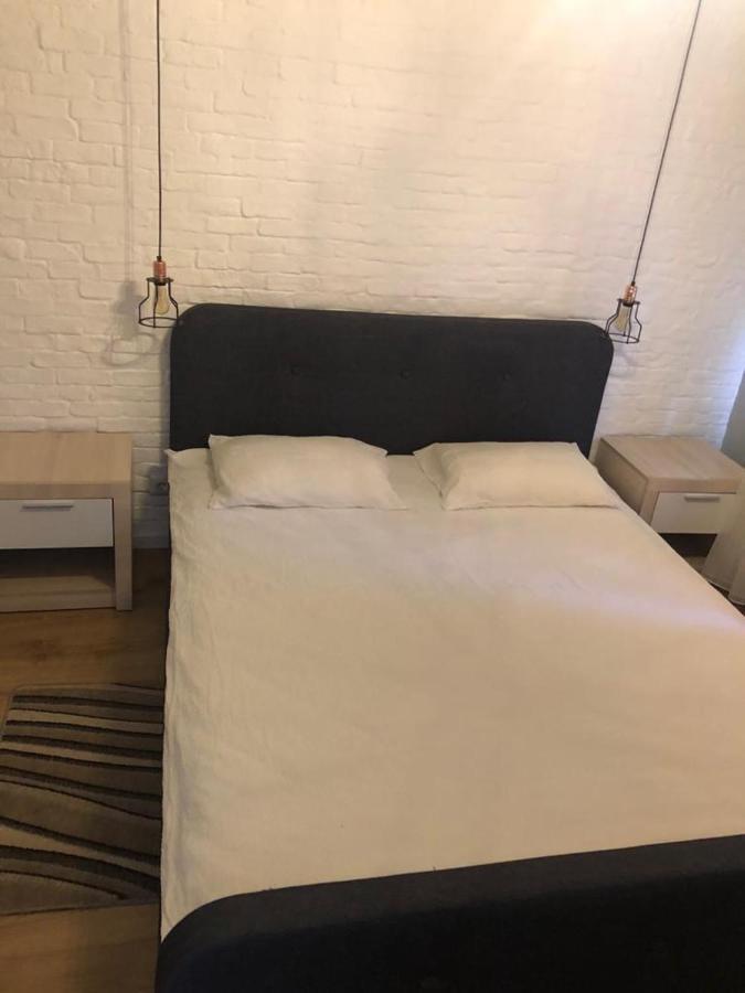 克卢日-纳波卡Apartament Dorobanti公寓 外观 照片